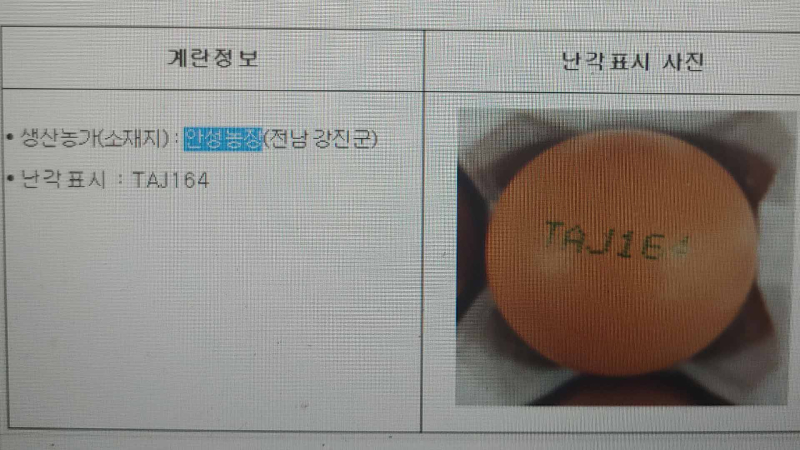 살충제-계란