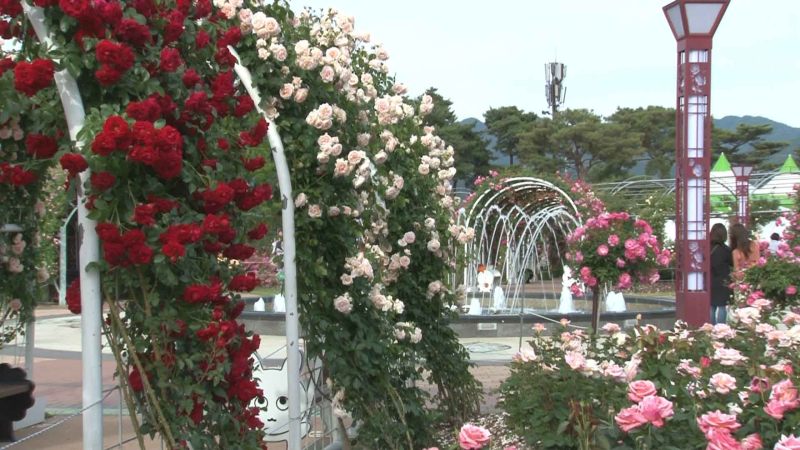 날씨